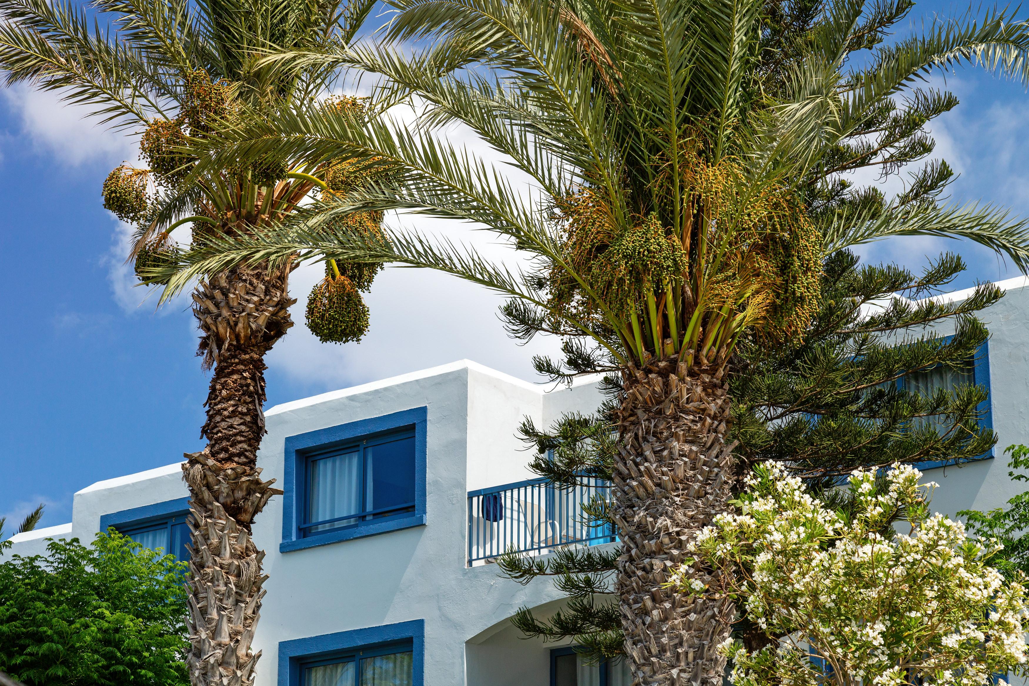 Nausicaa Beach Protaras Exterior photo